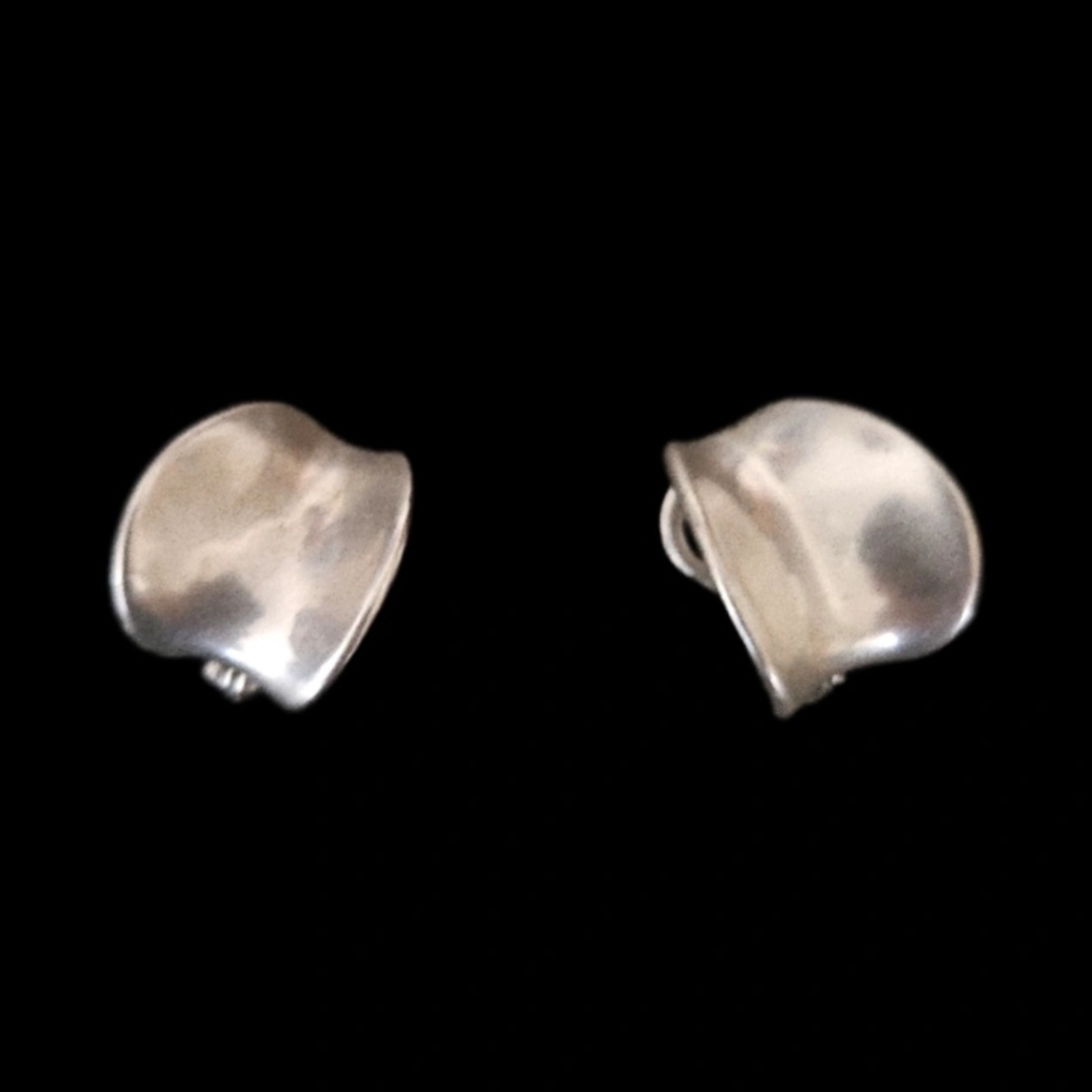 Modern Matte Silver Sculpted  Earrings